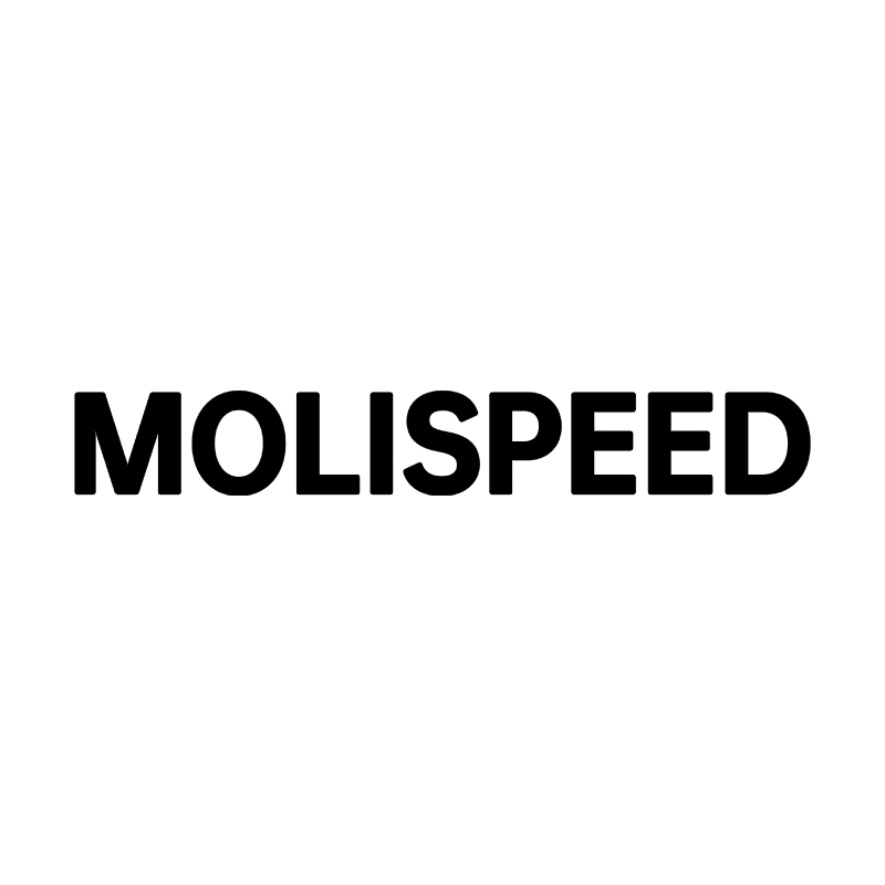 MOLISPEED Auto Repair Equipment Manufacturer